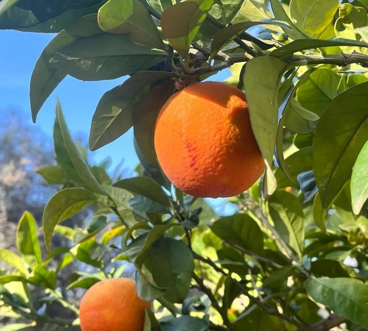 Villa Santa Margherita Chiaramonte Gulfi Farm stay